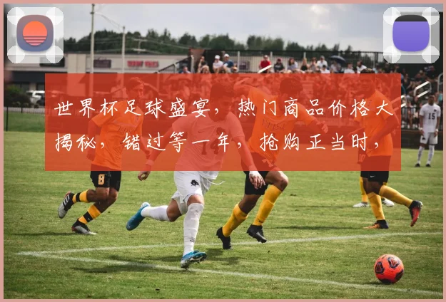 世界杯足球盛宴，热门商品价格大揭秘，错过等一年，抢购正当时，不容错过