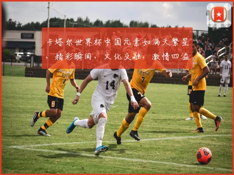 卡塔尔世界杯中国元素如满天繁星，精彩瞬间，文化交融，激情四溢，共襄盛举