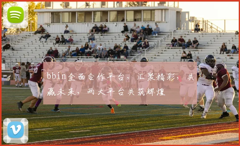 bbin全面合作平台，汇聚精彩，共赢未来，两大平台共筑辉煌